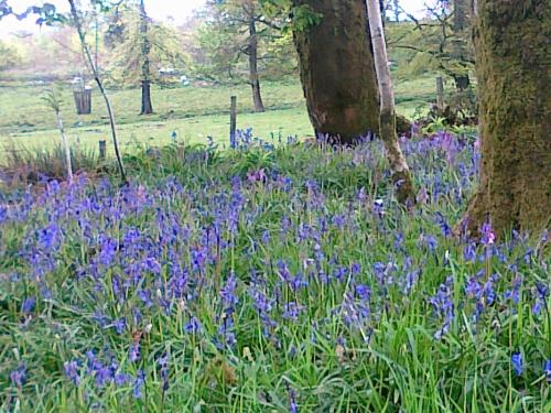 Garden, Tor Royal Farm House in Princeton