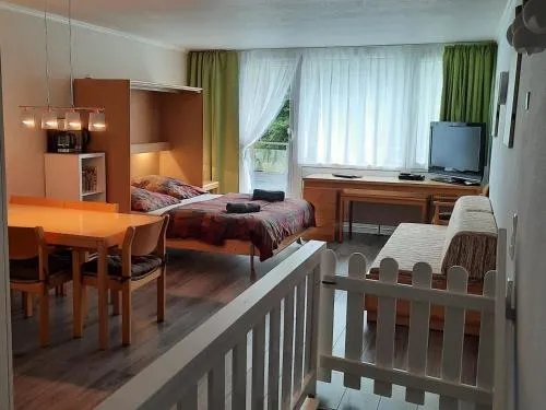 Family Appartment in Sankt Englmar, Deutschland