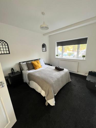 Lovely Bruce Castle Apartment