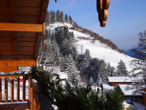Chalet Sonnberg, Niedernsill (foto 7)