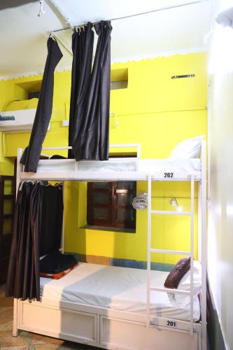 Bunk Bed in Mixed Dormitory Room image 4