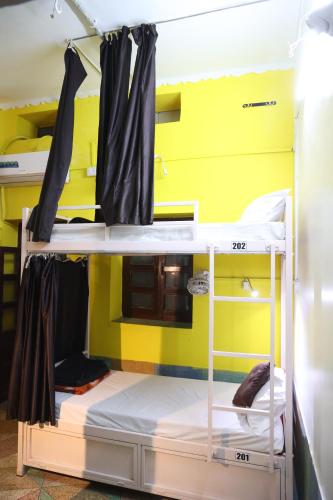 Bunk Bed in Mixed Dormitory Room image 3