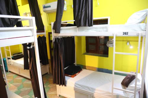 Bunk Bed in Mixed Dormitory Room image 1