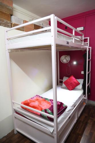 Bunk Bed in Female Dormitory Room   image 3