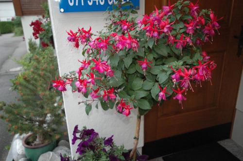 Hotel Pension Im Dorf photo 4