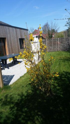 Instalaciones, Gite Noir Lapin in Lesquin