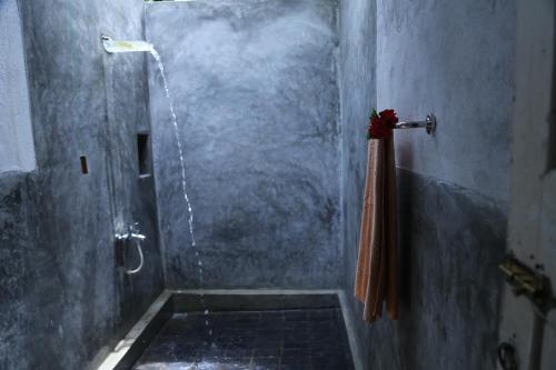 The Cinnamon Cottage - image 2