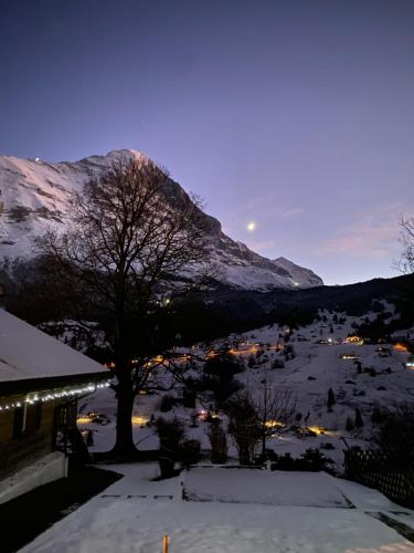 Chalet Herrschaft, Grindelwald (foto 3)