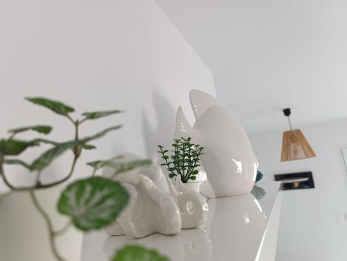 Studio des Haras Studio des Haras