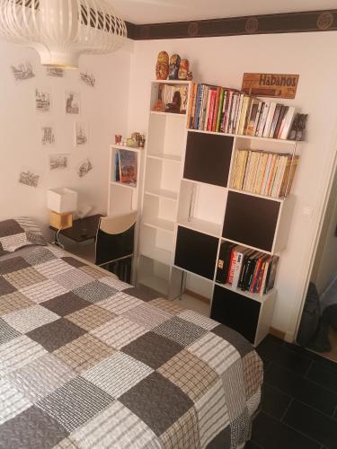 CHAMBRE CHEZ L'HABITANT - ROOM IN THE OWNER'S APARTMENT, Nice (fotografie 3)