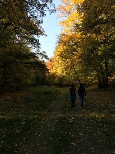 Lochkov 53 in Prague 16