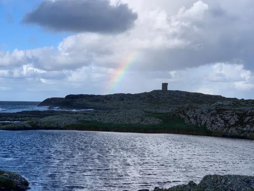 Aran Views, Dog Island (Foto 5)