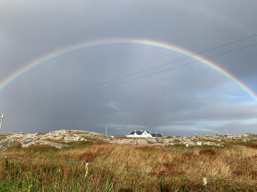Aran Views, Dog Island (Foto 7)