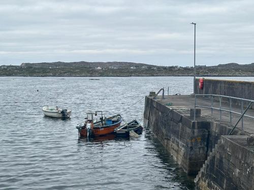 Aran Views, Dog Island (Foto 8)