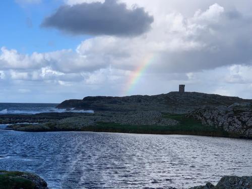Aran Views, Dog Island (Foto 10)