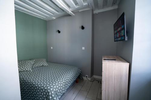 共用Lounge/電視區, L'ORLÉANAIS 1 - Appartement Spacieux Centre Ville (L'ORLEANAIS 1 - Appartement Spacieux Centre Ville) in 勃根地