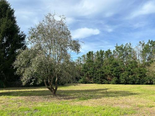 Kert, Casa ISABELLA in Hoznayo