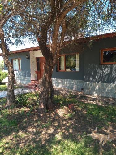 Casa Las Lechuzas