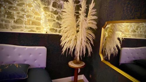 Facilities, Love Room Plaisir Secret in Limoges