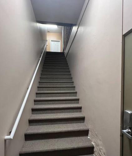 Spacious, Vibrant Downtown Apt Between Ann Arbor and Detroit Spacious, Vibrant Downtown Apt Between Ann Arbor and Detroit