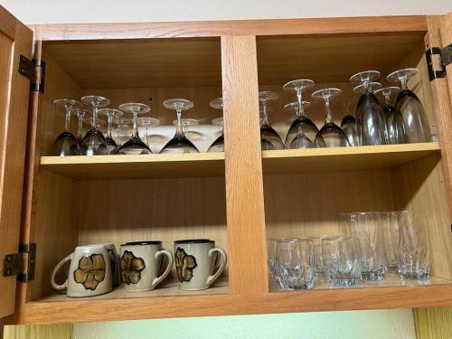 Spacious, Vibrant Downtown Apt Between Ann Arbor and Detroit Spacious, Vibrant Downtown Apt Between Ann Arbor and Detroit