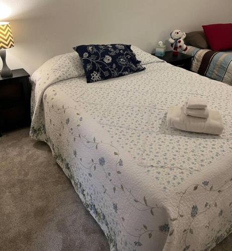 Spacious, Vibrant Downtown Apt Between Ann Arbor and Detroit Spacious, Vibrant Downtown Apt Between Ann Arbor and Detroit