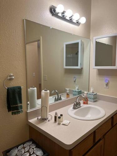 Spacious, Vibrant Downtown Apt Between Ann Arbor and Detroit Spacious, Vibrant Downtown Apt Between Ann Arbor and Detroit