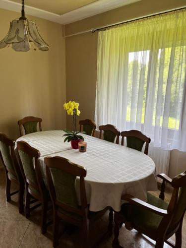 Iekārtas, Kondákor Vendégház (Kondakor Vendeghaz) in Kerkaszentkirály