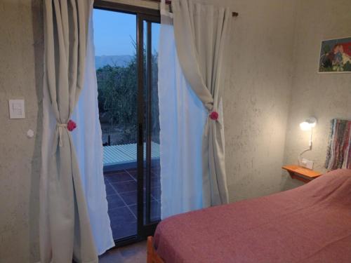 El Colibrí de los Molles (El Colibri de los Molles) in Los Molles (San Luis)