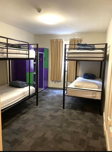Big Backpackers Hostel - image 6