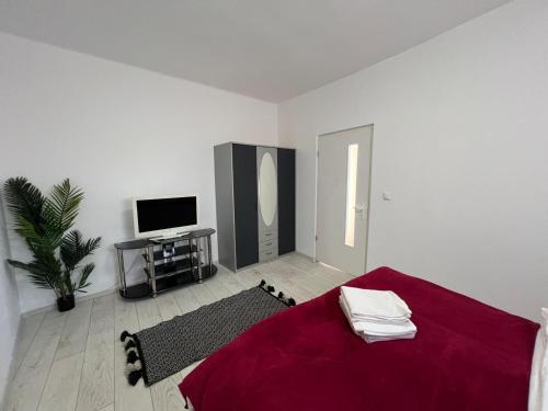 Zen Apartment 3 in Satu Mare