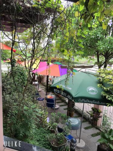 Ngoc Phuong Anh Homestay - 전망