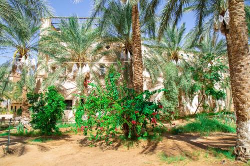 Residence El Arich in Tozeur