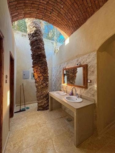 فندق إريغن Erighin siwa hotel (فندق إريغن Erighin siwa hotel) in  سيوة