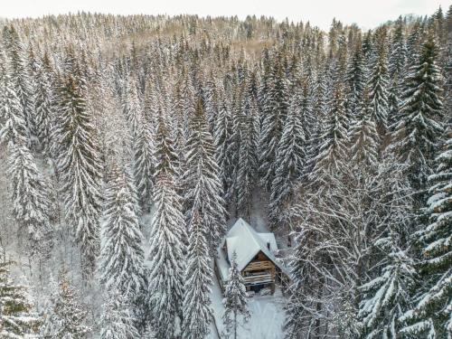 Casa Montana - Chalet - Kopaonik