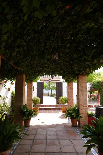 Cortijo Carrillo - image 7