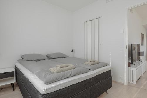 Snowpoint Flat Rovaniemi City