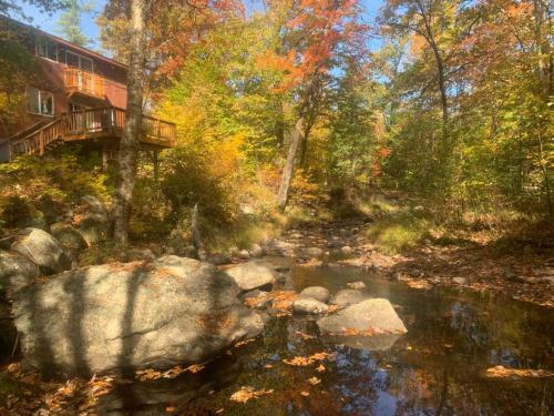 Whispering Woods Cabin - Creekside & Pet Friendly, Grafton