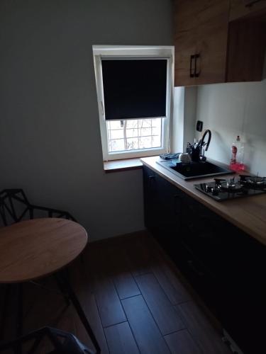 Apartament Okrzei