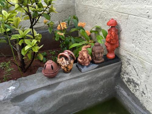 สวน, SHI's Isha Homestay in Coimbatore in วดาวัลลี