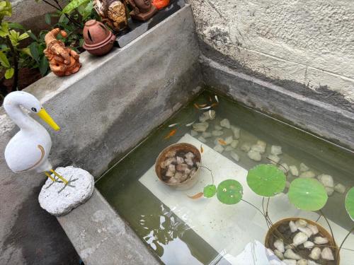 สวน, SHI's Isha Homestay in Coimbatore in วดาวัลลี