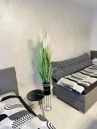 FeWo BEE61 * Langen EXKLUSIV für 4 Personen *Vollausstattung mit Küche* inklusive TERRASSE