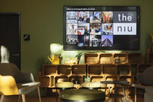 the niu Dwarf - image 8