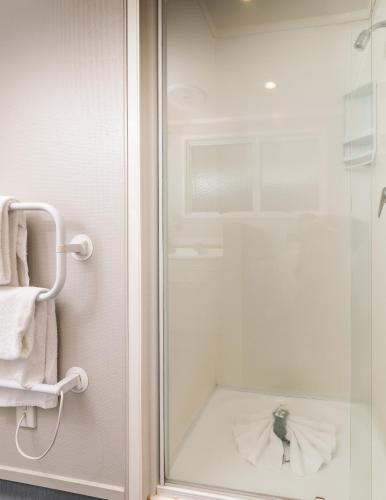 One-Bedroom Apartment image 2