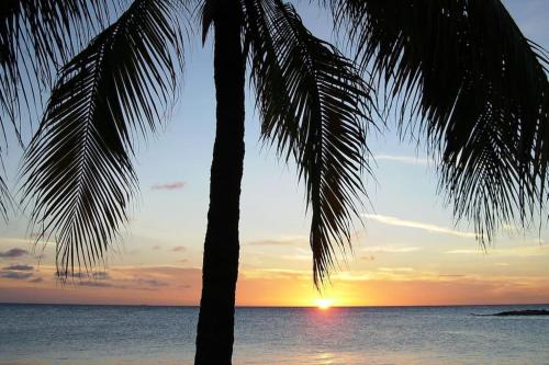 Rosa's Rust en Pad in 索托