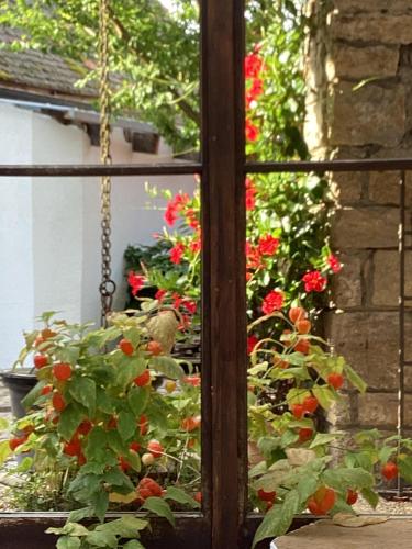 Ferienhaus Fahr am Main Ferienhaus Fahr am Main