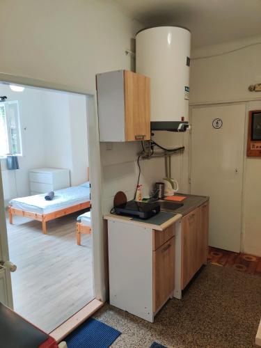 Apartment in house with private parking and garden, Прага (фото 10)