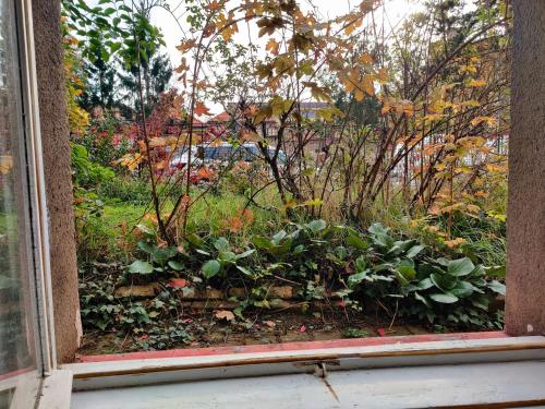 Apartment in house with private parking and garden, Прага (фото 8)