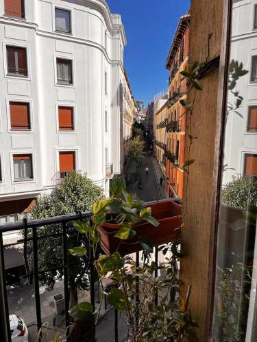 La casa de la escritora, Madrid (Foto 10)