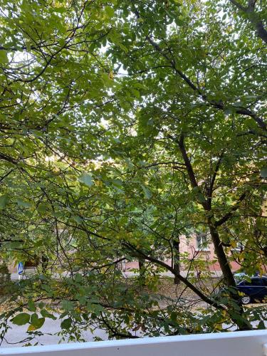 Vanja Apartman Vanja Apartman